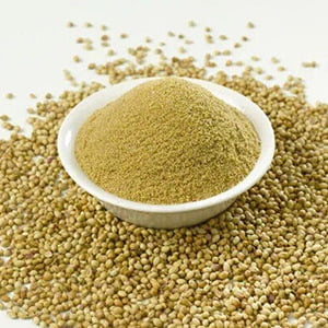 NTB51003: North Bay Coriander / Dhaniya Powder Canadian Mill 10lb