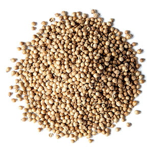 NTB51008 : North Bay Coriander / Dhaniya Whole 5LB