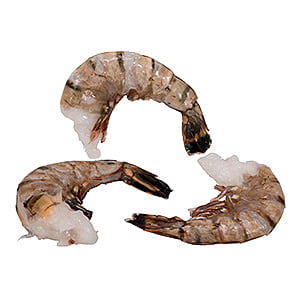 SHR36002 : SHRIMP RH T  8-12 Tiger 24lb IND